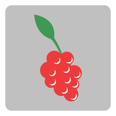 Beyaz arka planda İtalyan üzümleri, illüstrasyon, vektör.