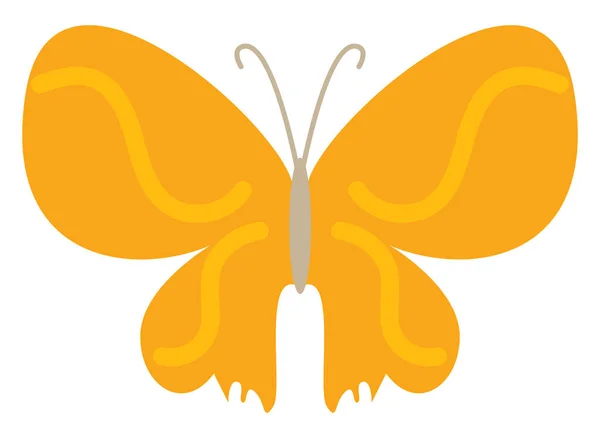 Leuchtend Farbiger Schmetterling Illustration Vektor Auf Weißem Hintergrund — Stockvektor