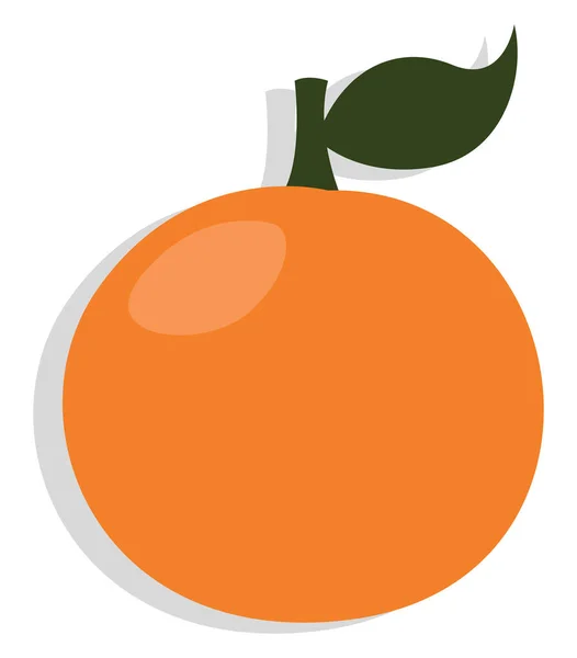 Pomarańczowy Owoc Ilustracja Wektor Białym Tle — Wektor stockowy