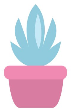 Aloe bitkisi pembe tencerede, illüstrasyon, vektör, beyaz arka planda.