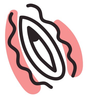 Pink rubber vagina, illustration, vector, on a white background.