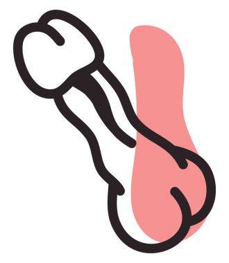 Sexy penis, illustration, vector, on a white background.