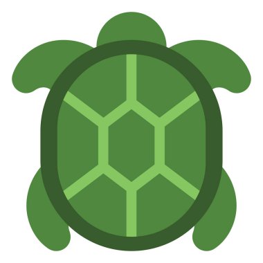 Yeşil deniz kaplumbağası, illüstrasyon, vektör, beyaz arka planda..