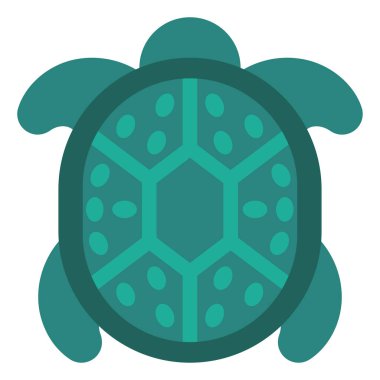 Beyaz arka planda Cyan kaplumbağa, illüstrasyon, vektör.