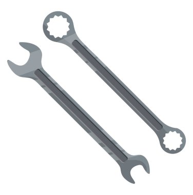 Beyaz arkaplanda iki anahtar, illüstrasyon, vektör.