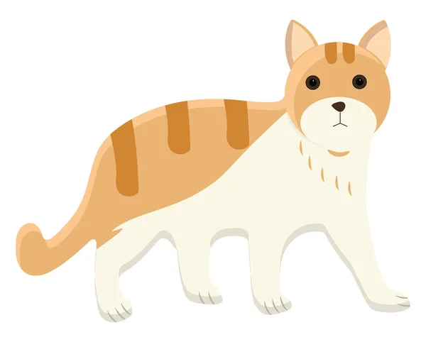 Hnědá Kočka Ilustrace Vektor Bílém Pozadí — Stockový vektor