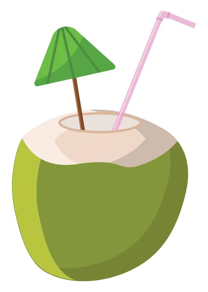 Kokoswasser Illustration Vektor Auf Weißem Hintergrund — Stockvektor