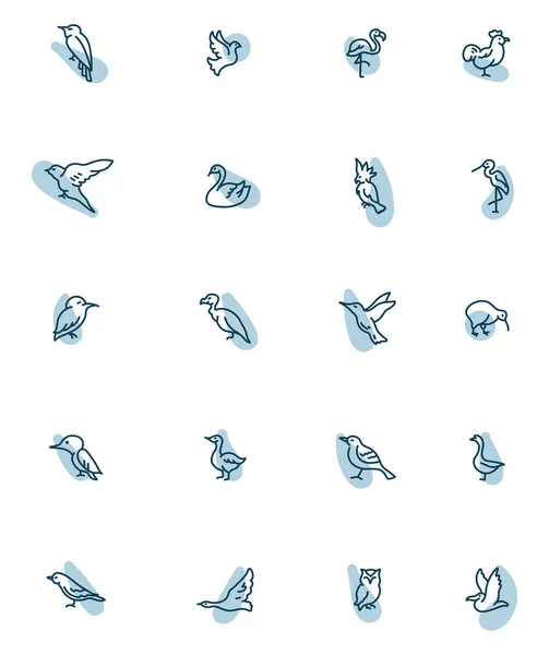 Ensemble Icônes Oiseaux Illustration Vecteur Sur Fond Blanc — Image vectorielle