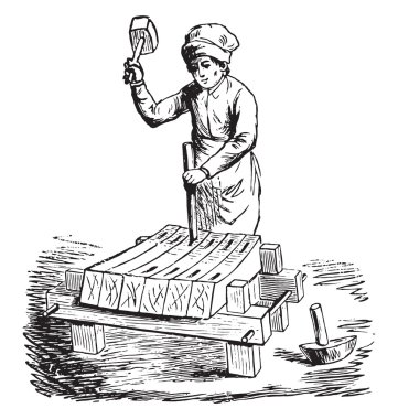Ansiklopedi, vintage gravür bir gravür faks simile