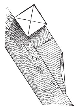 Chantignole, vintage gravür.