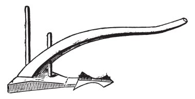 Roma etrafında Pulluk, vintage gravür.