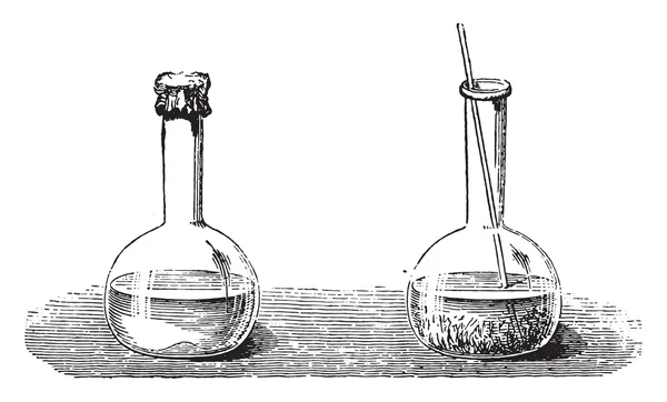 Cristallisation instantanée du sulfate de sodium, gravure vintage . — Image vectorielle