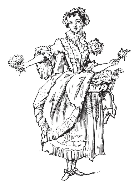 Дженни цветок, винтажная гравировка . — стоковый вектор