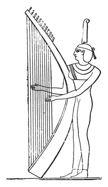 Egyptisk harpist, Vintage gravyr. — Stock vektor