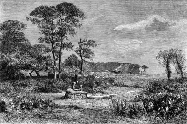 1876 Resim Sergisi, Gorse çiçek, Alexandre Sege tarafından, 