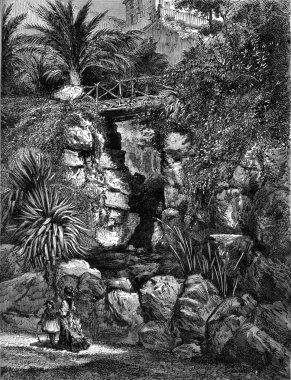 Genler, Parkway Acqua Sola'da, vintage gravür.