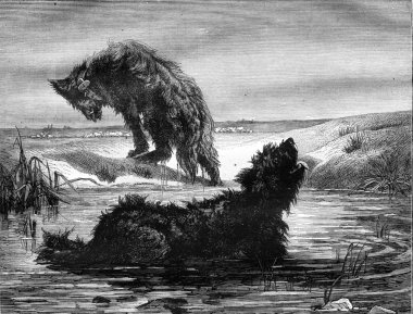 Sheepdogs in the Camargue, painting Vayson, vintage engraving.