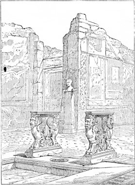 Cornelius Rufus Evi, vintage gravür.
