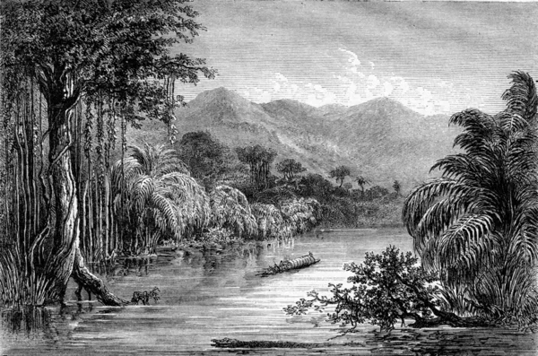 Το ποτάμι του Πόλοτσι, τμήμα του Verapaz, Δημοκρατία της Γκουινέμ — Φωτογραφία Αρχείου