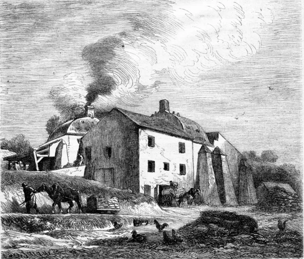 Bir Platriere, vintage gravür.