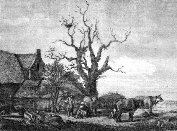 Uma fazenda, Van de Velde, desenhando depois do de Van de Velde no — Fotografia de Stock