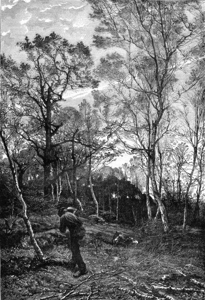 1876 Exposição de Pintura, um copo de madeira Senlisse, Sena-et-Ois — Fotografia de Stock