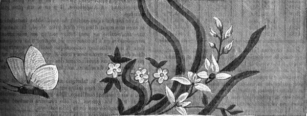 Francouzský Silk, druhá polovina osmnáctého století (1774-1793), — Stock fotografie