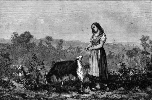 Chrdeužití koz maluje Lisudky Goethals, ročník rytin — Stock fotografie