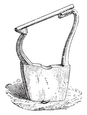 Zither Leiden, vintage engraving.