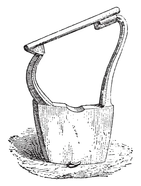 Zither Leiden, vintage engraving.