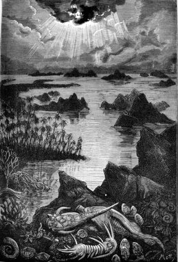 Milyonlarca yıl boyunca, dünyanın ilk sakinleri