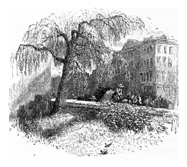 Surlar Weinheim, vintage oyma.