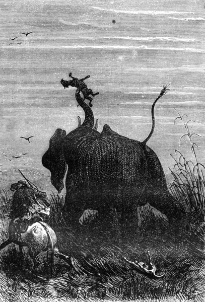 Havada salladı, vintage gravür.