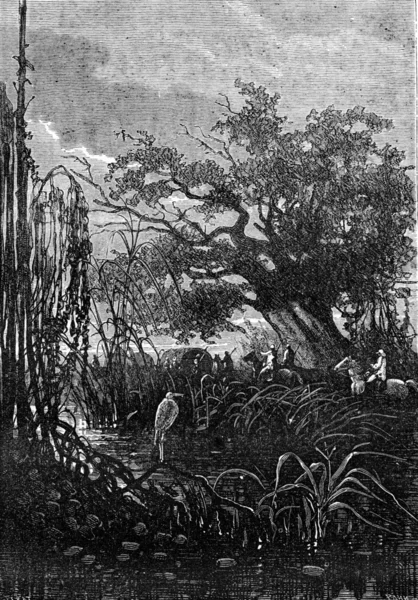 The caravan walked, vintage engraving.