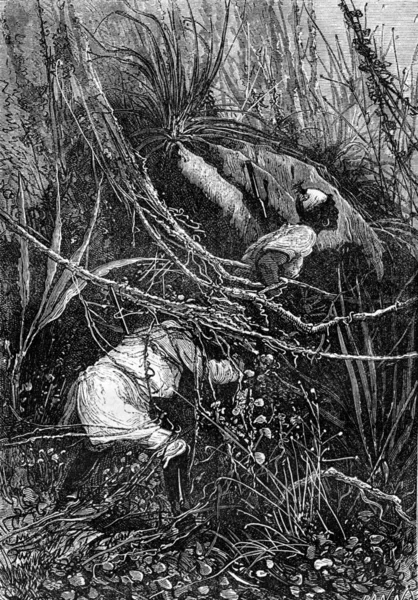 Bushman and Sir John slipped under the bushes, vintage engraving — Stockfoto