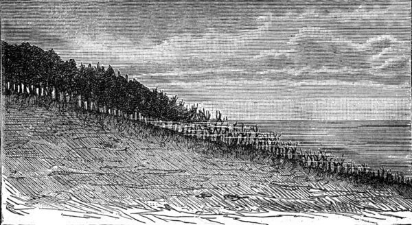 Forest being flooded on the shores of Sweden, vintage engraving. — Stock Photo, Image