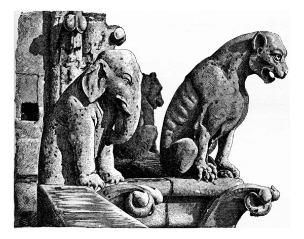 The Notre Dame towers, vintage engraving.