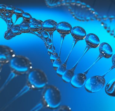 DNA molekülleri modeli