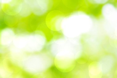 Doğal ormandan yeşil ve beyaz bokeh arka plan