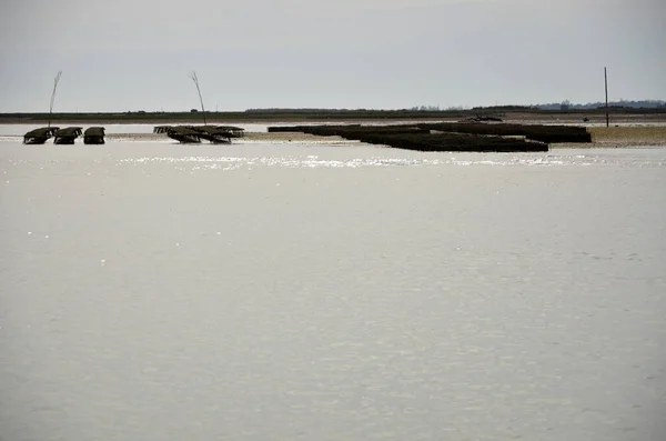 Ria Formosa Istiridye Yetiştirme Yeri — Stok fotoğraf