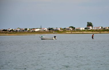 Ria Formosa 'da deniz tarağı yetiştirme yurdu