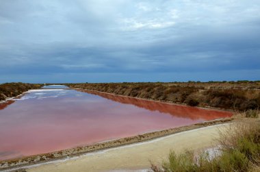 Algarve 'deki ünlü tuz düzlükleri.