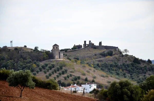 Zeer Oud Kasteel Het Alentejo Landschap — Stockfoto