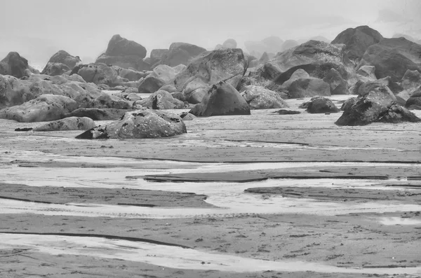 干潮時の海水浴場 — ストック写真