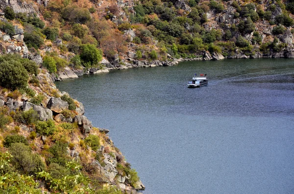 Bateau naviguant dans la rivière Douro — Photo