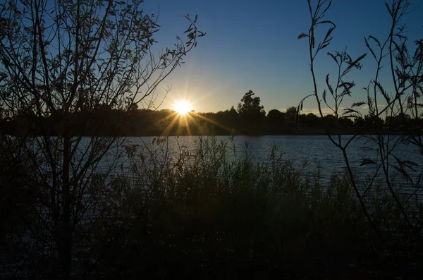 Zonsondergang over lake bank — Stockfoto