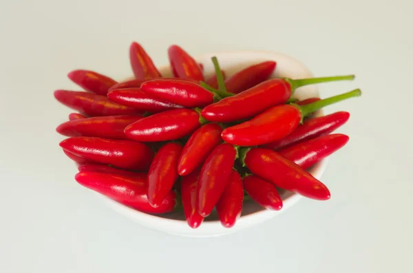 Kase chilis - kırmızı biber sp. — Stok fotoğraf
