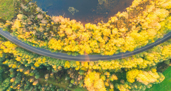 Aerial view of rural car road in yellow and orange autumn forest. Aerial road near the lake. Top view autumn road landscape. Top view of asphalt roadway