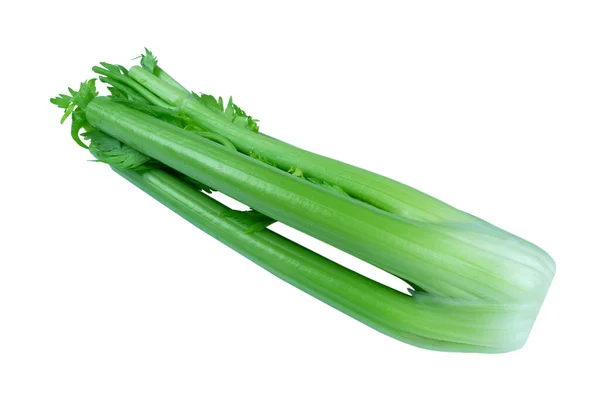 Bunch Celery Sticks Isolated White Background Celery Branch Bunch Isolated — Stock Photo, Image