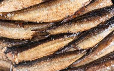 Sprats fish background texture. Top view. Sprats in oil. Smoked sprats pattern